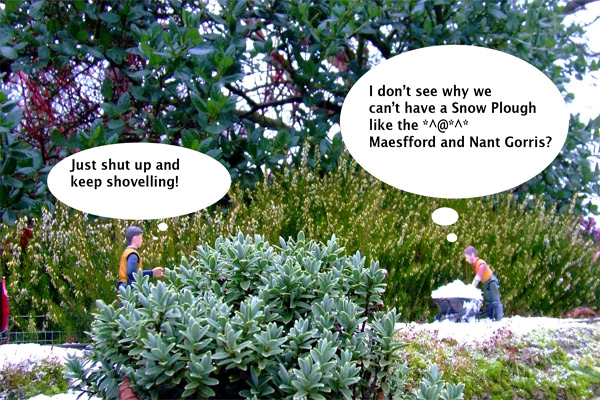 moaning-web.jpg